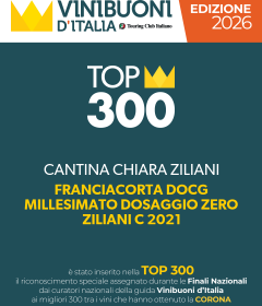 top-300-vinibuoni-9592